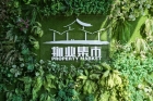 線上線下“花”式助農！橫琴人買年花看這里！