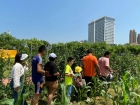 沉浸式體驗！澳門婦聯組織琴澳小朋友走進這個農場→