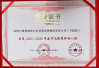 連獲三獎！大橫琴城資助力城市“慧”治理