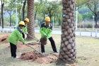“植”入盎然生機！這個春天，“城市園丁”在忙什么？